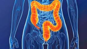 colon