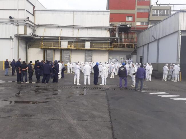 FESITCARA Bono Covid